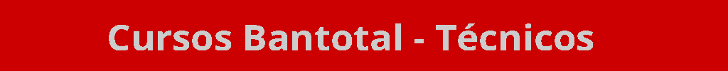 Cursos Bantotal-Técnicos