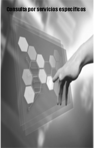 consulta por servicios específicos